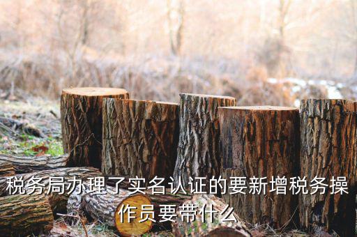 四川國稅局實名認(rèn)證需要什么資料，國稅發(fā)票認(rèn)證需要準(zhǔn)備那些資料 到大廳辦的時候工作人員叫我拿U盤