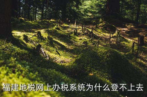 企業(yè)所得稅系統(tǒng)為什么登不上，福建地稅網(wǎng)上辦稅系統(tǒng)為什么登不上去