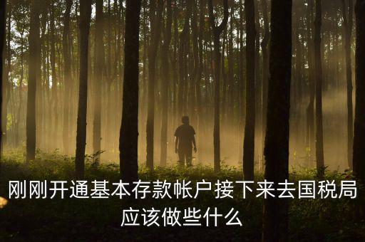 剛剛開通基本存款帳戶接下來去國稅局應該做些什么