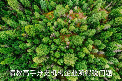 企業(yè)所得稅分管單位是什么意思，企業(yè)所得稅主管稅務(wù)局指的是什么