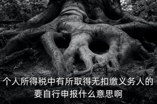 什么叫自行申報(bào)，個人所得稅中有所取得無扣繳義務(wù)人的要自行申報(bào)什么意思啊