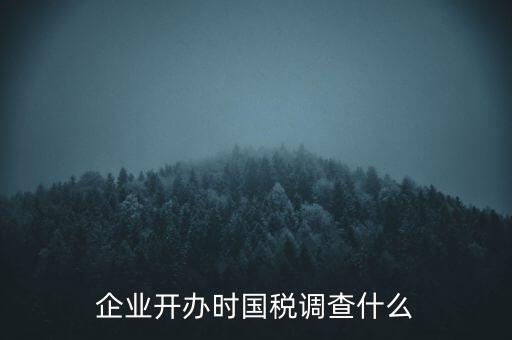 企業(yè)開辦時國稅調(diào)查什么