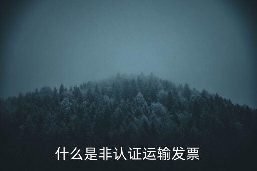 運輸票是什么，運輸發(fā)票是普通發(fā)票嗎