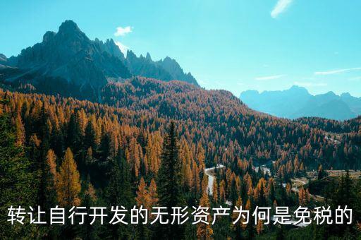 轉(zhuǎn)讓自行開發(fā)的無(wú)形資產(chǎn)為何是免稅的
