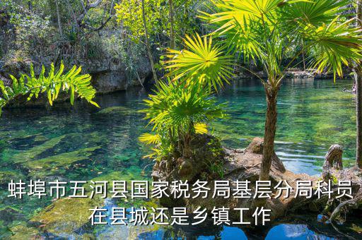 懷遠(yuǎn)稅務(wù)局在什么地方，蚌埠市五河縣國家稅務(wù)局基層分局科員在縣城還是鄉(xiāng)鎮(zhèn)工作