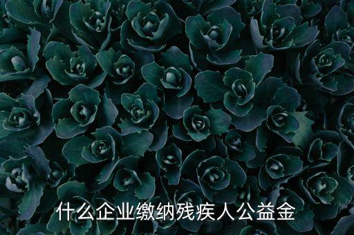 什么企業(yè)需申報(bào)殘疾人保障金，哪些單位應(yīng)該繳納殘疾人保障基金