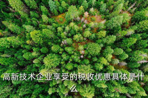 什么是享受稅收優(yōu)惠權(quán)，什么是稅收優(yōu)惠政策