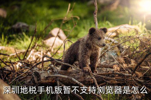 深圳國(guó)稅網(wǎng)站用什么瀏覽器打開(kāi)，國(guó)稅網(wǎng)為什么看不到增值稅申報(bào)表平時(shí)一打開(kāi)這個(gè)頁(yè)面就可以點(diǎn)擊看