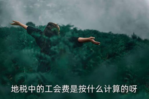 地稅代征的工會(huì)經(jīng)費(fèi)按什么計(jì)算，地稅中的工會(huì)費(fèi)是按什么計(jì)算的呀