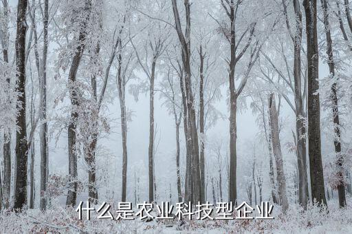 什么算科技型企業(yè)，什么是科技公司