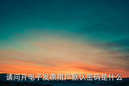 重慶國(guó)稅電子發(fā)票登錄密碼是什么意思，國(guó)稅局發(fā)票軟件里用戶代碼和密碼是什么