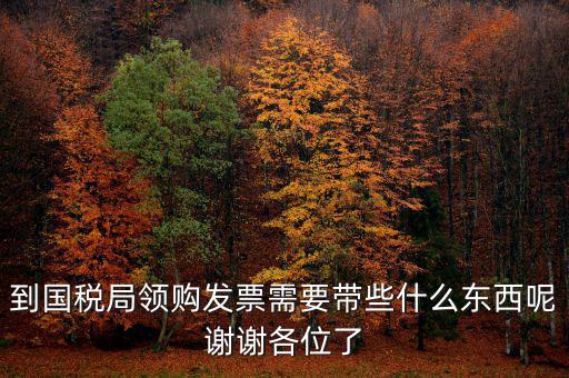 去國(guó)稅領(lǐng)發(fā)票需要帶什么，國(guó)稅領(lǐng)取發(fā)票需帶什么材料不是初次領(lǐng)購(gòu)