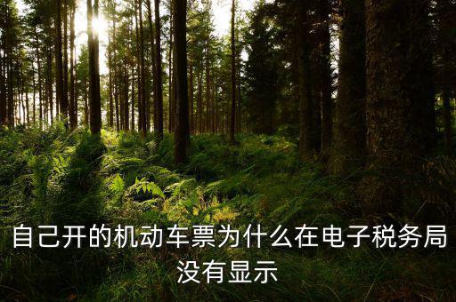為什么登錄電子稅務(wù)局沒有反映，自己開的機(jī)動車票為什么在電子稅務(wù)局沒有顯示
