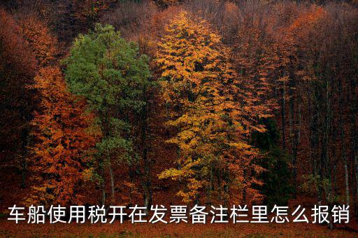 車(chē)船使用稅為什么在發(fā)票備注欄，保險(xiǎn)公司代收的車(chē)船稅稅款是填在備注欄里的么