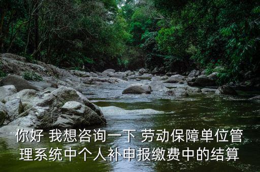 你好 我想咨詢一下 勞動保障單位管理系統(tǒng)中個人補(bǔ)申報繳費中的結(jié)算
