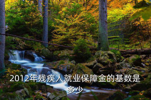 殘疾保障金按什么做基數(shù)，殘疾人保證金的基數(shù)包括勞務(wù)和稿酬么