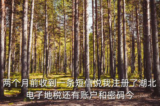 地稅什么時(shí)候會(huì)給電子稅務(wù)密碼，報(bào)地稅的時(shí)候登陸密碼每天有幾次輸入機(jī)會(huì)