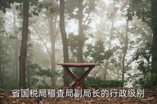 湖南稽查局長什么級別，湖南廣電局紀(jì)檢組長是什么級別