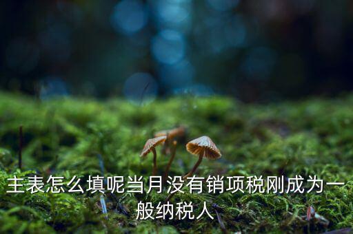 一般納稅人主表是什么意思，一般納稅人申報(bào)表主表的申明人必須輸入是什么意思