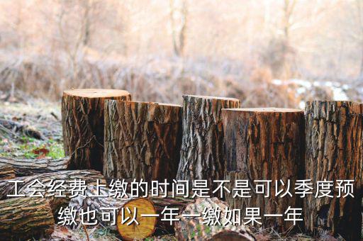 工會經費上繳的時間是不是可以季度預繳也可以一年一繳如果一年