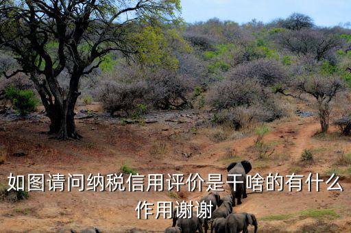申請(qǐng)納稅信用復(fù)評(píng)需要什么資料，納稅信用評(píng)價(jià)的基本規(guī)范要求包括什么