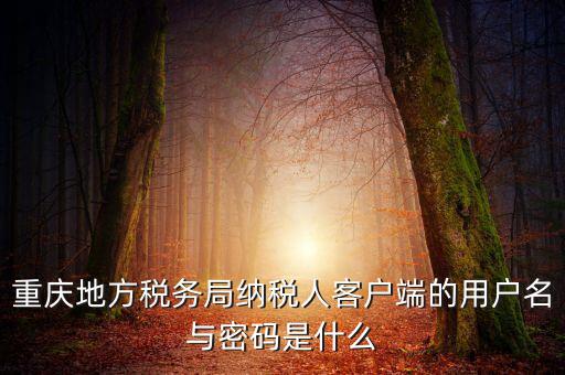 重慶國稅電子發(fā)票登錄密碼是什么，國稅局發(fā)票軟件里用戶代碼和密碼是什么