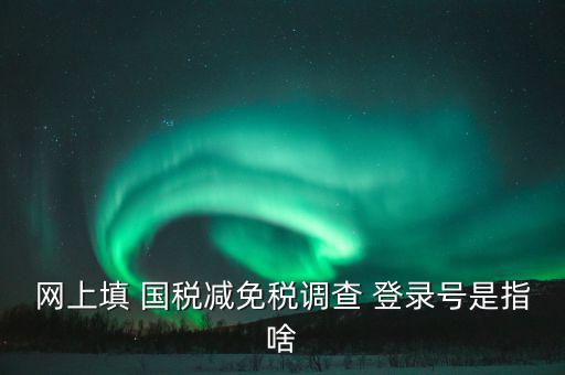 稅收調(diào)查網(wǎng)上是什么，網(wǎng)上填 國(guó)稅減免稅調(diào)查 登錄號(hào)是指啥
