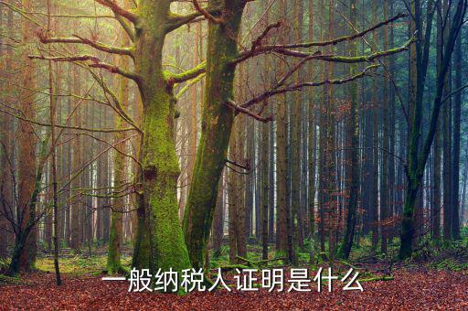 什么可以證明是一般納稅人，什么叫一般納稅人我如何辨別自己公司是否是一般納稅人