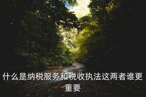 地稅納服是做什么，求助地稅納稅服務(wù)這個(gè)崗位有發(fā)展前景么