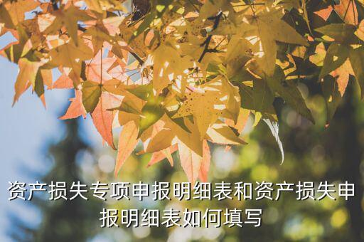 什么是專項資產(chǎn)損失申報表，所得稅申報表怎么填22資產(chǎn)損失