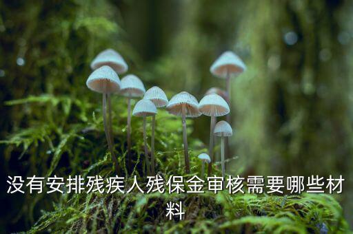 福建殘保金備案需要什么資料，求助2012年殘保金申請流程
