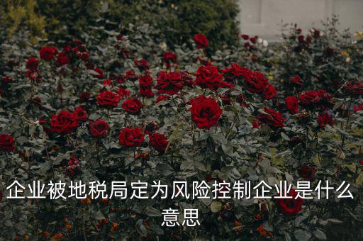 稅收風(fēng)險(xiǎn)控制是什么，稅務(wù)風(fēng)險(xiǎn)管理的稅務(wù)風(fēng)險(xiǎn)管理制度