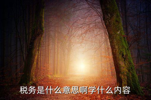 稅務中介是什么，稅務師事務所屬于什么行業(yè)