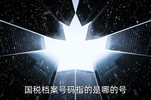 國稅號碼是什么，什么是國稅檔案號