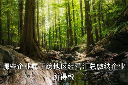 跨地區(qū)經(jīng)營匯總納稅指的是什么，哪些企業(yè)屬于跨地區(qū)經(jīng)營匯總繳納企業(yè)所得稅