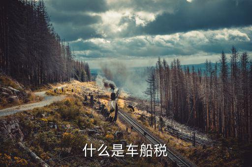 繳納車船稅是什么，什么是車船稅
