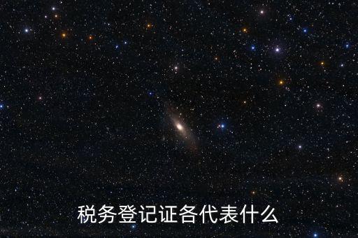 什么稅務(wù)登記證，什么是稅務(wù)登記證