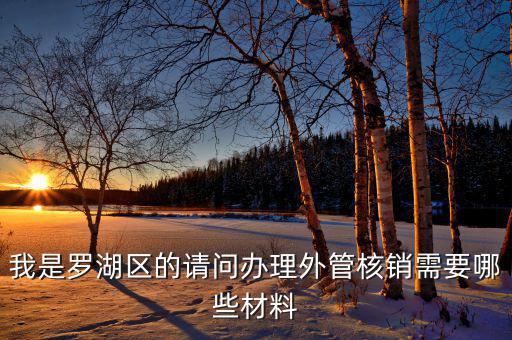 深圳外經(jīng)證核銷需要什么資料，我是羅湖區(qū)的請(qǐng)問(wèn)辦理外管核銷需要哪些材料