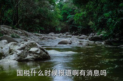 國稅同崗同籌什么時候?qū)崿F(xiàn)，請問國稅什么時候才能實現(xiàn)陽光工資