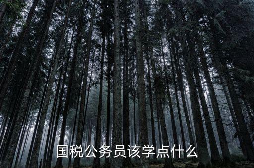 國稅公務(wù)員該學點什么