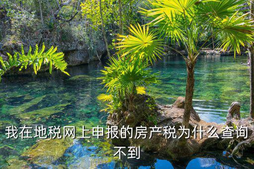 地稅申報(bào)信息查不到是什么原因，地稅報(bào)稅時(shí)提示納稅人信息不存在是怎么回事