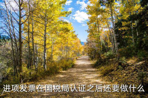 稅務(wù)認(rèn)定之后做什么，新辦企業(yè)稅務(wù)登記證下來(lái)后接下來(lái)會(huì)計(jì)該做些什么工作