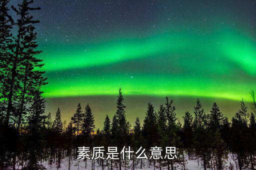 納稅服務(wù)素質(zhì)是什么意思，素質(zhì)的意思是