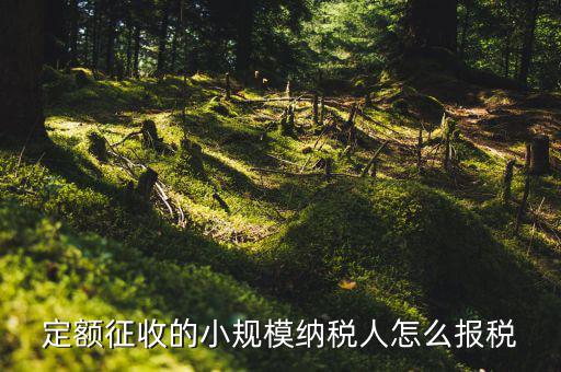 小規(guī)模納稅人 什么定額申報，定額征收的小規(guī)模納稅人怎么報稅