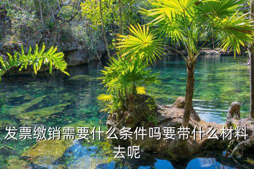 票證結(jié)報繳銷包括什么，去國稅局做稅票結(jié)報要帶哪些東西