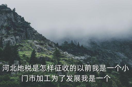河北省地稅報稅征收方式是什么，河北地稅申報個人所得稅