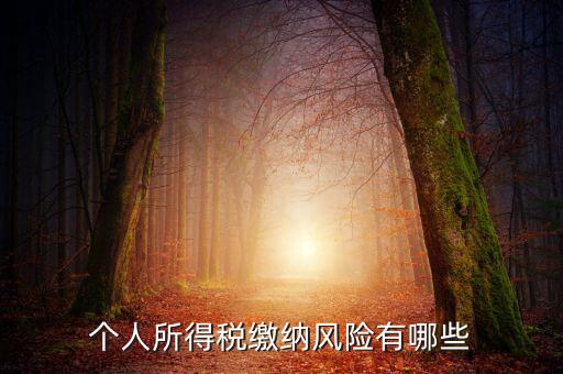 所得稅申報(bào)時有什么風(fēng)險(xiǎn)提示，個人所得稅繳納風(fēng)險(xiǎn)有哪些