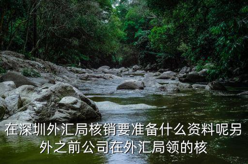 在深圳外匯局核銷(xiāo)要準(zhǔn)備什么資料呢另外之前公司在外匯局領(lǐng)的核