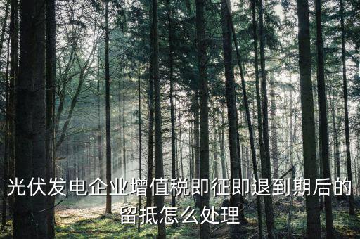 光伏企業(yè)即征即退是什么意思，請問即征既退是什么意思需要溝選嗎