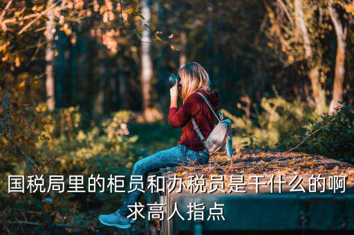 國稅局導(dǎo)稅員干什么的，國稅局里的柜員和辦稅員是干什么的啊求高人指點